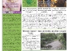 copy_0_copy_4_frontpage