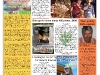 copy_12_frontpage