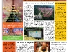 copy_22_frontpage