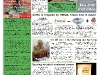 copy_26_frontpage