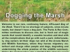 dogging-the-marsh