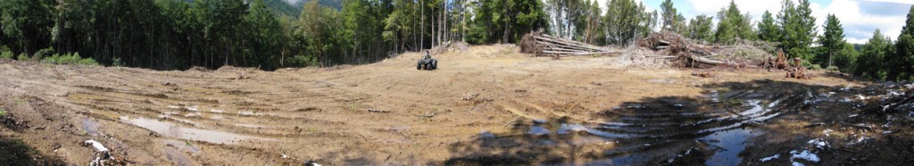BearCkPano2