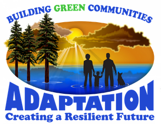 Adaptation
