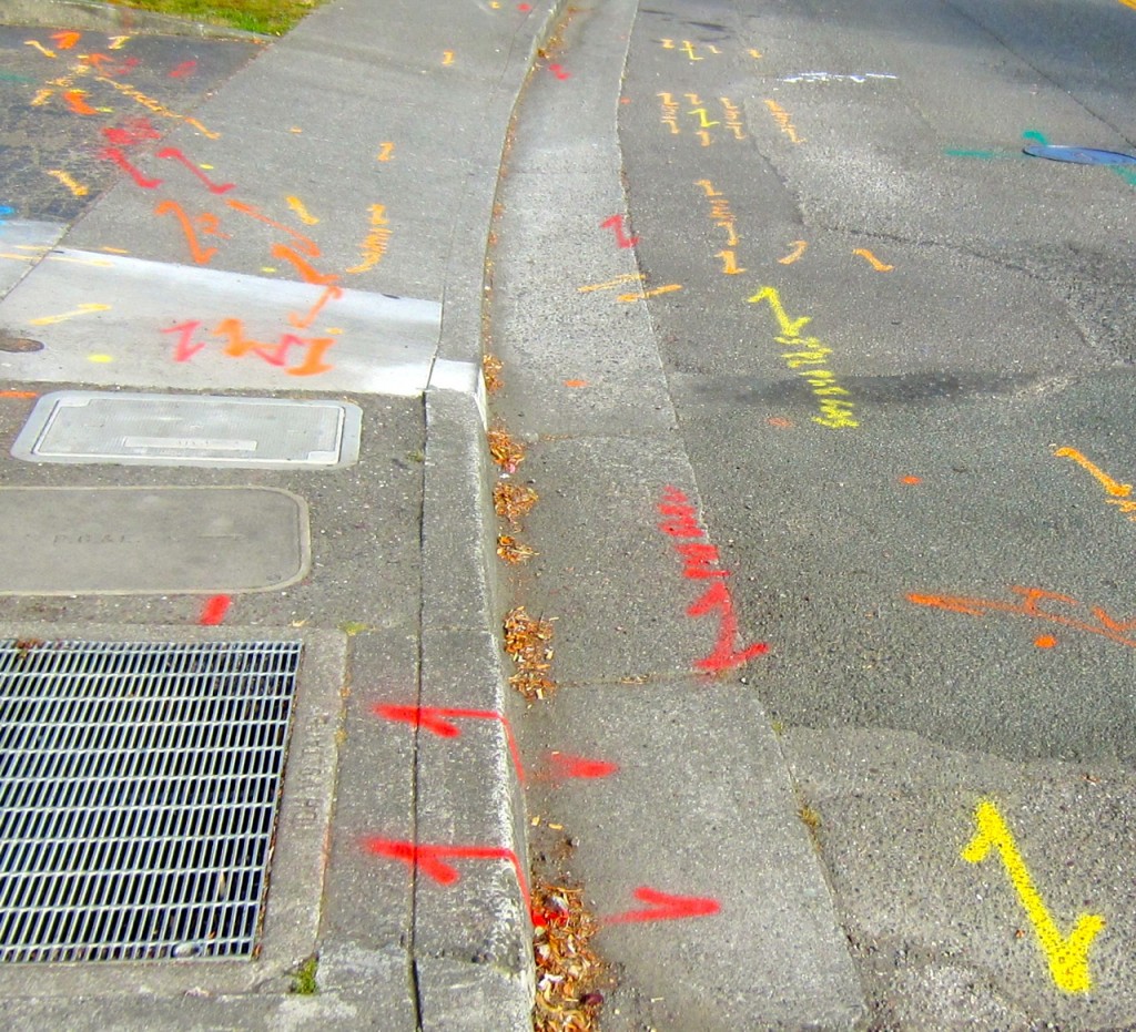 SB markings 2