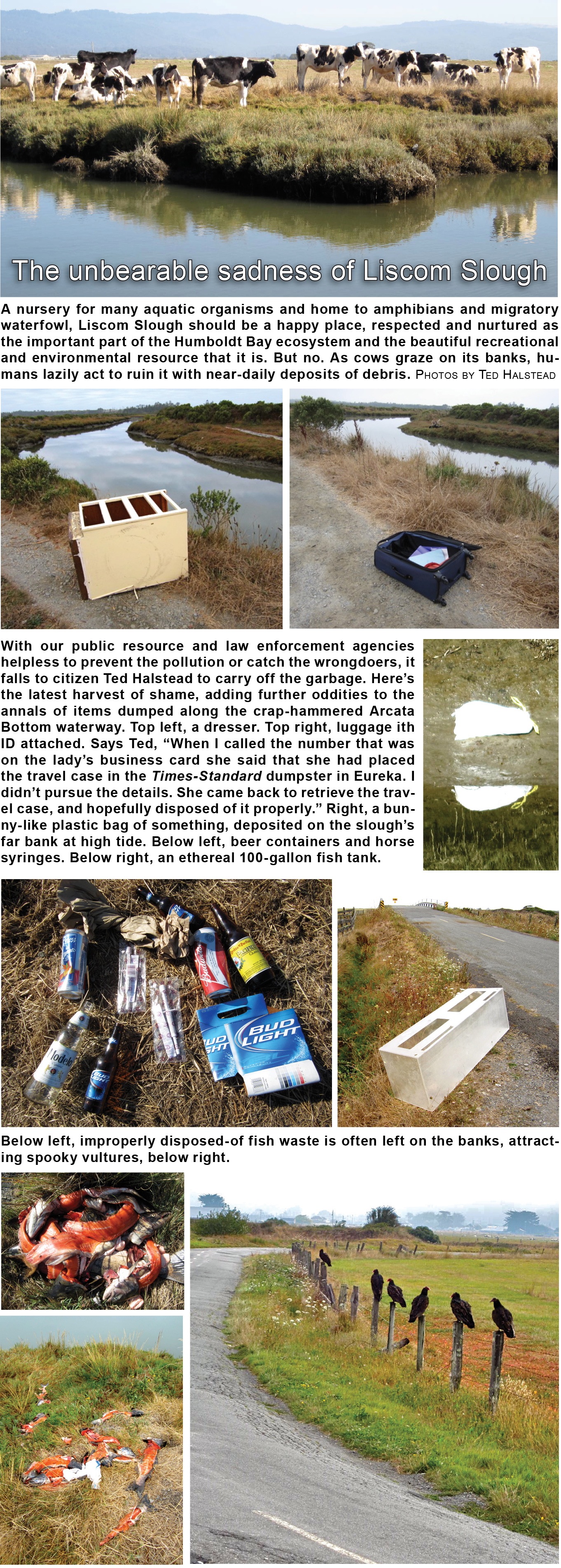 The Unbearable Sadness of Liscom Slough