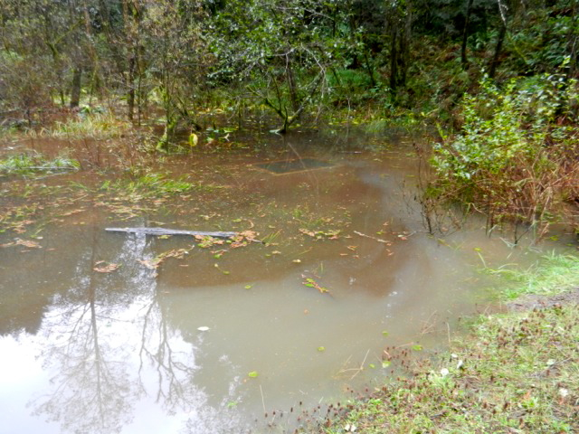 Flooded reservoir