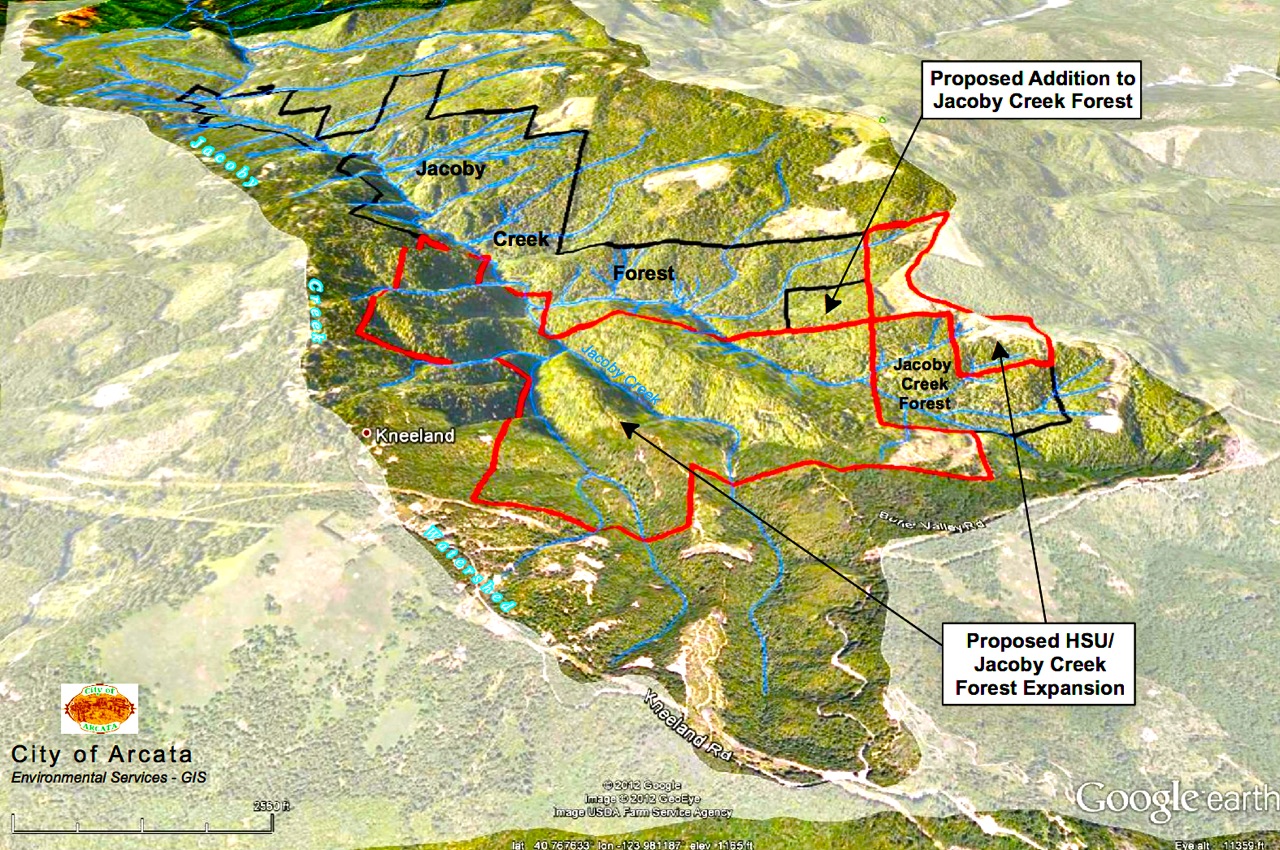 The proposed research forest next to the Jacoby Creek Forest. Image courtesy City of Arcata