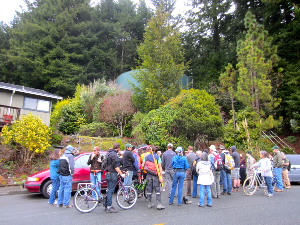 Some 47 volunteers showed up Saturday morning to work on the Arcata Ridge Trail.