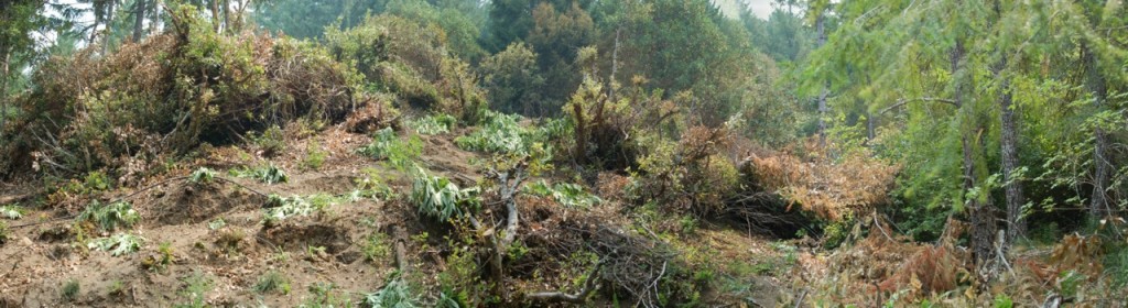 A landscape of destruction.