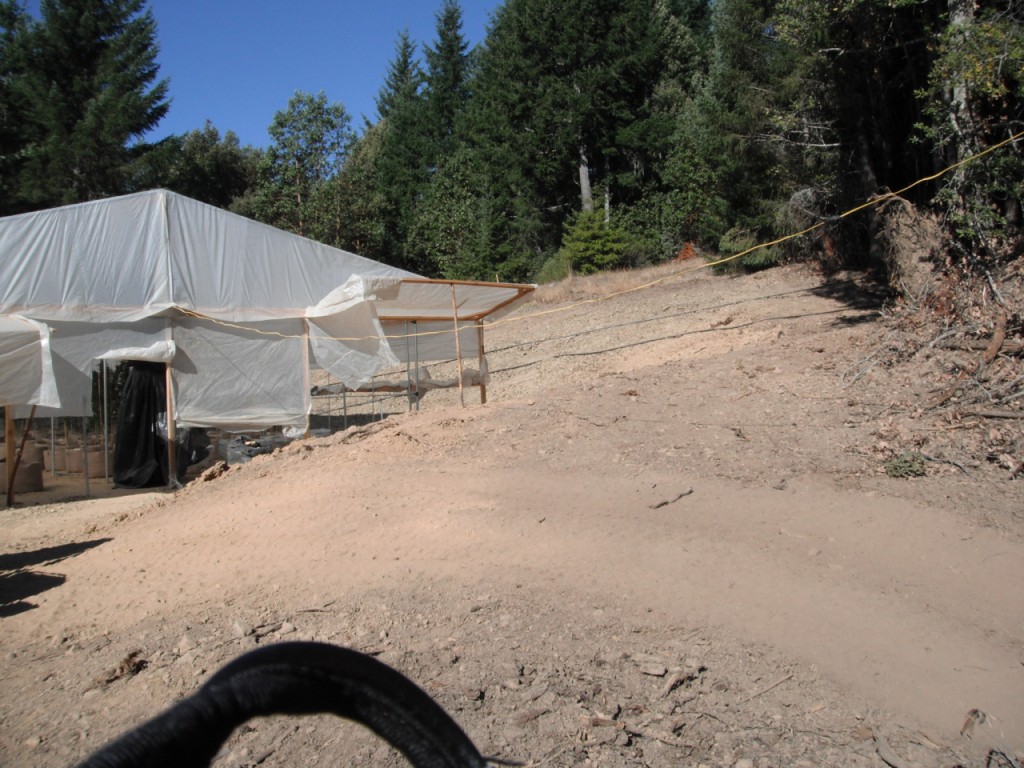 The area had been illegally clearcut to accommodate the cannabis cultivation and processing facilities. | HCSO Photos