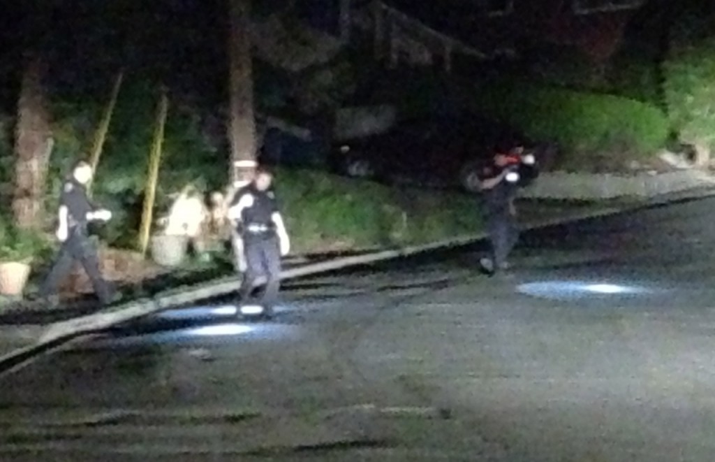 APD Shirley 2