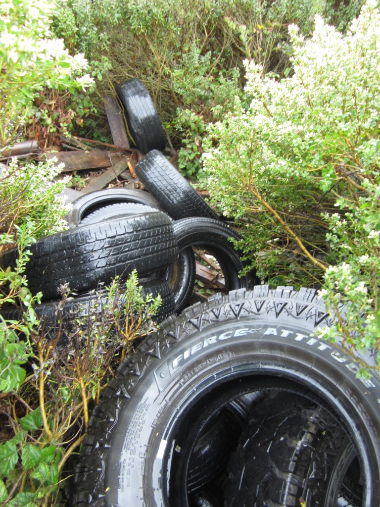 Some of this weekend's Liscom Slough dumping. Photos by Ted Halstead