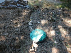 Raw sewage drained into Little Larabee Creek, which was also being pumped dry to provide water for the grow.