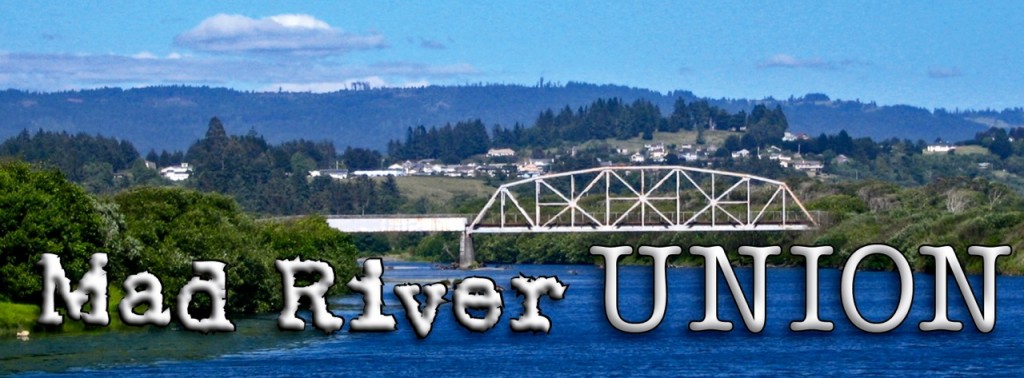 The Mad River Union's temporary logo.